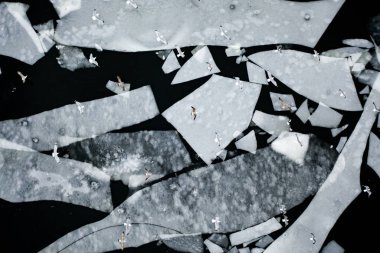 Fotoğraf Kiev uçak üzerinde yapılan