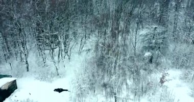 drone görüntüleri ormanın hemen üzerinde alın, kamera ufka bakar, terk edilmiş bir binanın yanından uçarak
