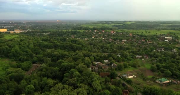 Drohne Sieht Aufnahmen Flug Geradeaus Und Unten Über Den Wald — Stockvideo