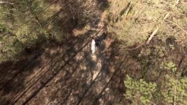 Bir çift gelin ve damat ormanda yürüyorlar.