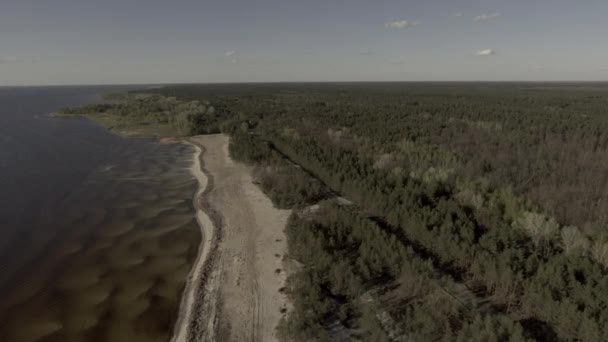 Drone Smidig Flygning Drönaren Höger Vänster Vattnet Till Höger Skogs — Stockvideo