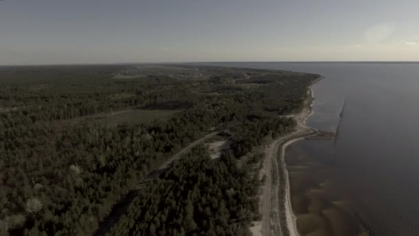 Vista Del Dron Vuelo Suave Dron Recto Bosque Izquierdo Cámara — Vídeo de stock