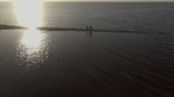 Drohnenbeobachter Stehen Auf Der Insel Die Sonne Fliegt Sie Herum — Stockvideo