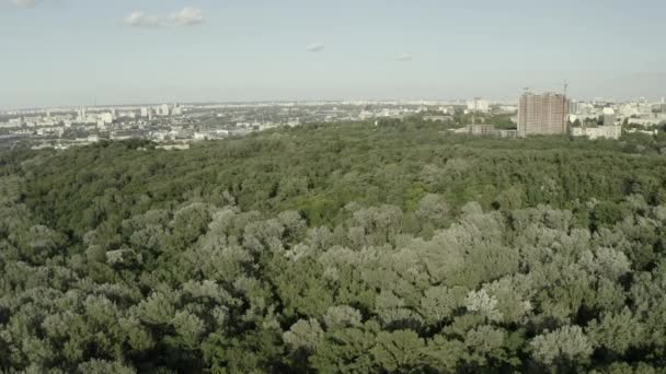 空中ショットドローンビュー木の上の森の真上にスパンカメラは 市内の木々の真上に見えます — ストック動画