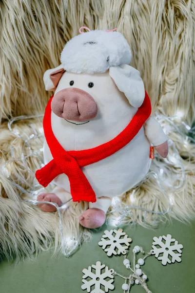 크리스마스 둘러싸인 배경에 Piglets — 스톡 사진