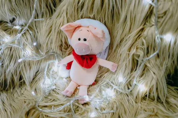 크리스마스 둘러싸인 배경에 Piglets — 스톡 사진