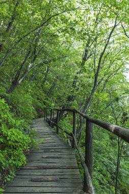 Jilin Eyaleti, Çin'de Hanging Kettle Tourist Resort ahşap tahta yolda, tahta yol dağlar tarafından ormanlar arasında inşa edilmiştir. Tahta yolda yürümek, insanların her zaman dağlara ve nehirlere entegre olduğunu gösteriyor..