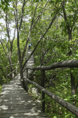 Jilin Eyaleti, Çin'de Hanging Kettle Tourist Resort ahşap tahta yolda, tahta yol dağlar tarafından ormanlar arasında inşa edilmiştir. Tahta yolda yürümek, insanların her zaman dağlara ve nehirlere entegre olduğunu gösteriyor..