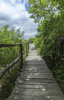 Jilin Eyaleti, Çin'de Hanging Kettle Tourist Resort ahşap tahta yolda, tahta yol dağlar tarafından ormanlar arasında inşa edilmiştir. Tahta yolda yürümek, insanların her zaman dağlara ve nehirlere entegre olduğunu gösteriyor..
