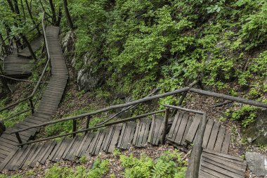 Jilin Eyaleti, Çin'de Hanging Kettle Tourist Resort ahşap tahta yolda, tahta yol dağlar tarafından ormanlar arasında inşa edilmiştir. Tahta yolda yürümek, insanların her zaman dağlara ve nehirlere entegre olduğunu gösteriyor..