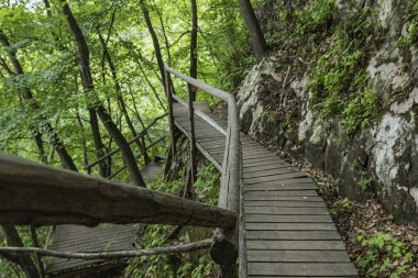 Jilin Eyaleti, Çin'de Hanging Kettle Tourist Resort ahşap tahta yolda, tahta yol dağlar tarafından ormanlar arasında inşa edilmiştir. Tahta yolda yürümek, insanların her zaman dağlara ve nehirlere entegre olduğunu gösteriyor..