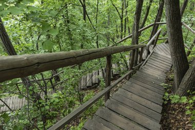 Jilin Eyaleti, Çin'de Hanging Kettle Tourist Resort ahşap tahta yolda, tahta yol dağlar tarafından ormanlar arasında inşa edilmiştir. Tahta yolda yürümek, insanların her zaman dağlara ve nehirlere entegre olduğunu gösteriyor..