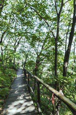 Jilin Eyaleti, Çin'de Hanging Kettle Tourist Resort ahşap tahta yolda, tahta yol dağlar tarafından ormanlar arasında inşa edilmiştir. Tahta yolda yürümek, insanların her zaman dağlara ve nehirlere entegre olduğunu gösteriyor..