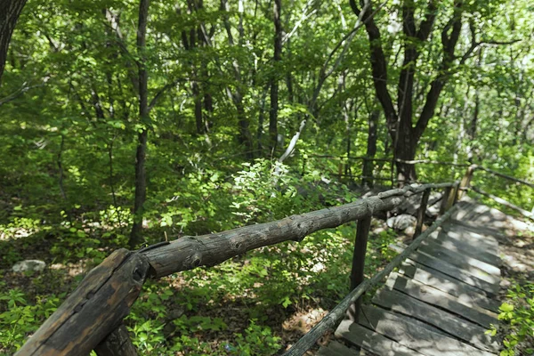 Jilin Eyaleti, Çin'de Hanging Kettle Tourist Resort ahşap tahta yolda, tahta yol dağlar tarafından ormanlar arasında inşa edilmiştir. Tahta yolda yürümek, insanların her zaman dağlara ve nehirlere entegre olduğunu gösteriyor..
