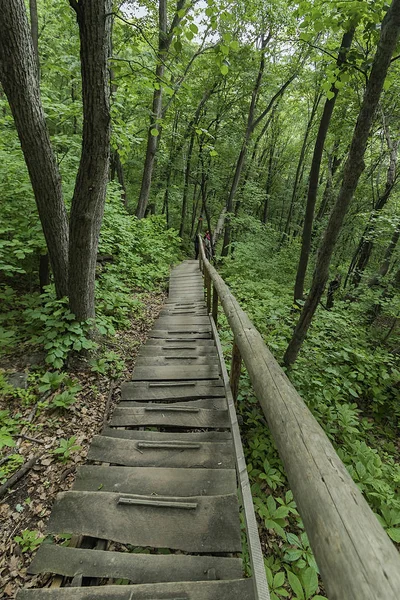 Jilin Eyaleti, Çin'de Hanging Kettle Tourist Resort ahşap tahta yolda, tahta yol dağlar tarafından ormanlar arasında inşa edilmiştir. Tahta yolda yürümek, insanların her zaman dağlara ve nehirlere entegre olduğunu gösteriyor..
