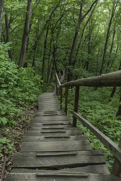 On the wooden plank road of the Hanging Kettle Tourist Resort in Jilin Province, China, the plank road is built between the jungles by the mountains. Walking on the plank road makes people always integrate into the mountains and rivers.