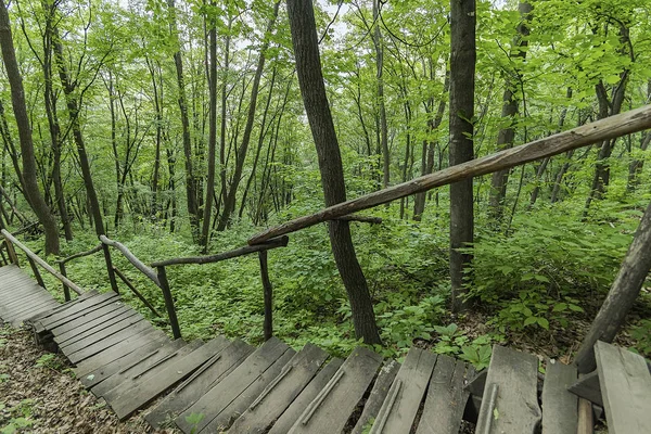 On the wooden plank road of the Hanging Kettle Tourist Resort in Jilin Province, China, the plank road is built between the jungles by the mountains. Walking on the plank road makes people always integrate into the mountains and rivers.