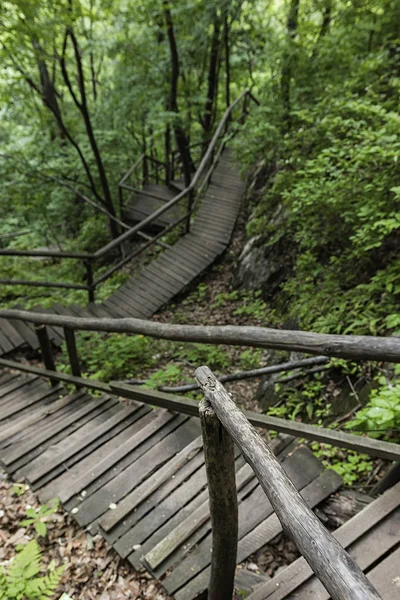 On the wooden plank road of the Hanging Kettle Tourist Resort in Jilin Province, China, the plank road is built between the jungles by the mountains. Walking on the plank road makes people always integrate into the mountains and rivers.