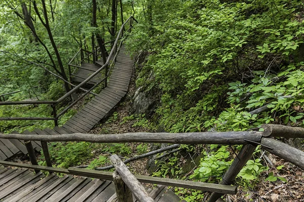 On the wooden plank road of the Hanging Kettle Tourist Resort in Jilin Province, China, the plank road is built between the jungles by the mountains. Walking on the plank road makes people always integrate into the mountains and rivers.