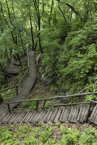 On the wooden plank road of the Hanging Kettle Tourist Resort in Jilin Province, China, the plank road is built between the jungles by the mountains. Walking on the plank road makes people always integrate into the mountains and rivers.