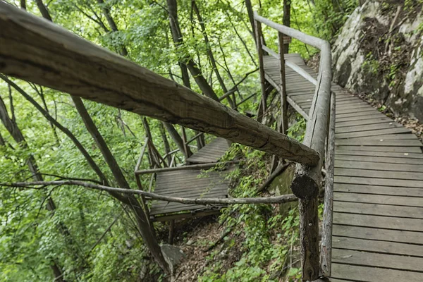 On the wooden plank road of the Hanging Kettle Tourist Resort in Jilin Province, China, the plank road is built between the jungles by the mountains. Walking on the plank road makes people always integrate into the mountains and rivers.