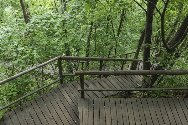 On the wooden plank road of the Hanging Kettle Tourist Resort in Jilin Province, China, the plank road is built between the jungles by the mountains. Walking on the plank road makes people always integrate into the mountains and rivers.