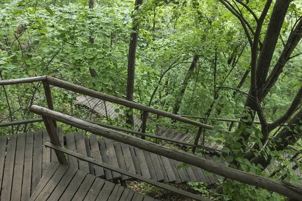 Jilin Eyaleti, Çin'de Hanging Kettle Tourist Resort ahşap tahta yolda, tahta yol dağlar tarafından ormanlar arasında inşa edilmiştir. Tahta yolda yürümek, insanların her zaman dağlara ve nehirlere entegre olduğunu gösteriyor..