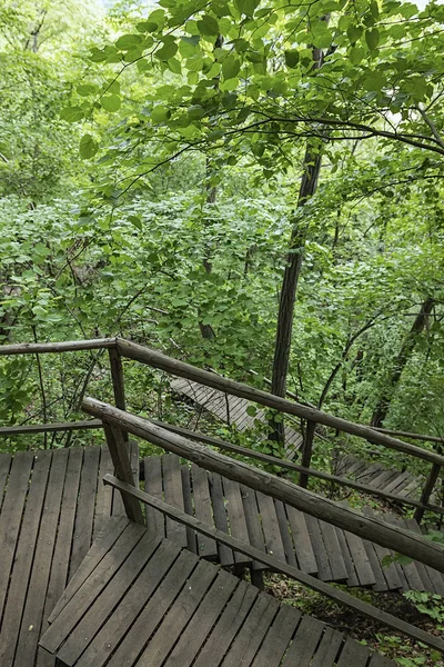 On the wooden plank road of the Hanging Kettle Tourist Resort in Jilin Province, China, the plank road is built between the jungles by the mountains. Walking on the plank road makes people always integrate into the mountains and rivers.