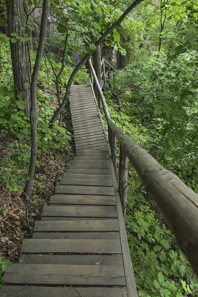 On the wooden plank road of the Hanging Kettle Tourist Resort in Jilin Province, China, the plank road is built between the jungles by the mountains. Walking on the plank road makes people always integrate into the mountains and rivers.