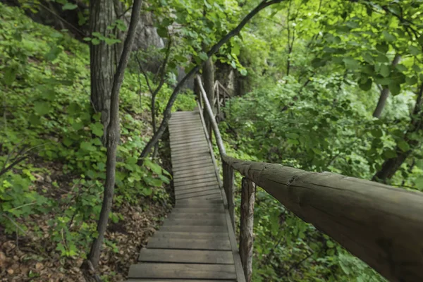 On the wooden plank road of the Hanging Kettle Tourist Resort in Jilin Province, China, the plank road is built between the jungles by the mountains. Walking on the plank road makes people always integrate into the mountains and rivers.