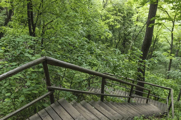 On the wooden plank road of the Hanging Kettle Tourist Resort in Jilin Province, China, the plank road is built between the jungles by the mountains. Walking on the plank road makes people always integrate into the mountains and rivers.