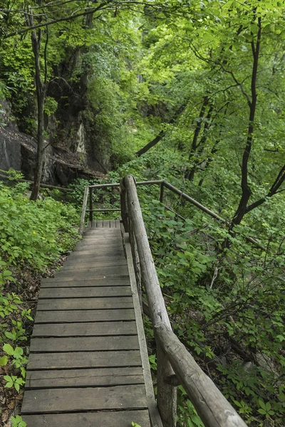 On the wooden plank road of the Hanging Kettle Tourist Resort in Jilin Province, China, the plank road is built between the jungles by the mountains. Walking on the plank road makes people always integrate into the mountains and rivers.