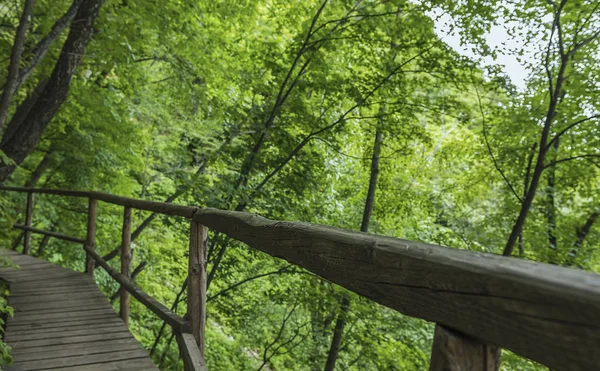 Jilin Eyaleti, Çin'de Hanging Kettle Tourist Resort ahşap tahta yolda, tahta yol dağlar tarafından ormanlar arasında inşa edilmiştir. Tahta yolda yürümek, insanların her zaman dağlara ve nehirlere entegre olduğunu gösteriyor..