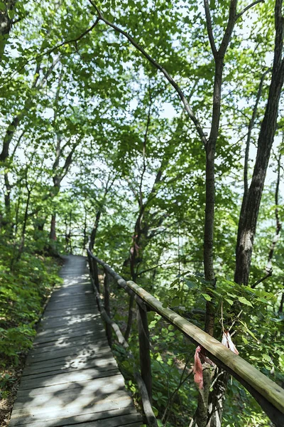 On the wooden plank road of the Hanging Kettle Tourist Resort in Jilin Province, China, the plank road is built between the jungles by the mountains. Walking on the plank road makes people always integrate into the mountains and rivers.