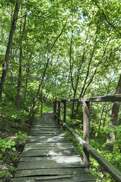 On the wooden plank road of the Hanging Kettle Tourist Resort in Jilin Province, China, the plank road is built between the jungles by the mountains. Walking on the plank road makes people always integrate into the mountains and rivers.