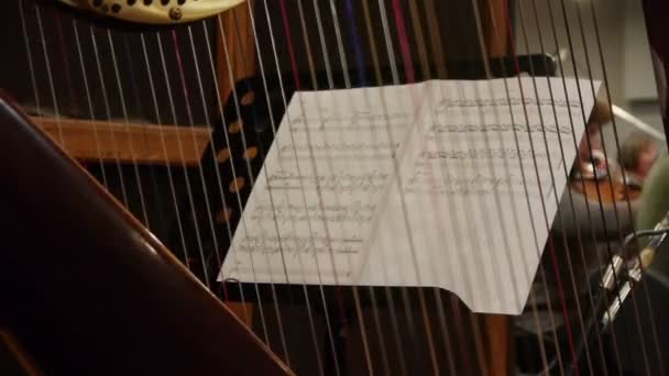 Kvinnan Orkestern Spelar Harpa — Stockvideo