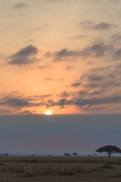 Puesta Sol Nubes Oscuras Amboseli Kenia — Foto de Stock