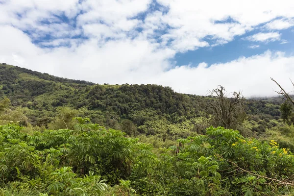 Aderdare 山の風景です 青い空と明るい緑のジャングル上の雲 ケニア — ストック写真