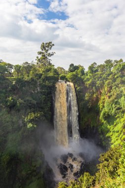 Orman tarafından çevrili bir şelale peyzaj. Thompson şelale. Kenya, Afrika