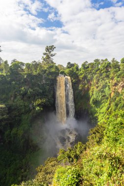 Yeşilliklerle çevrili bir şelale peyzaj. Thompson şelale. Kenya, Afrika