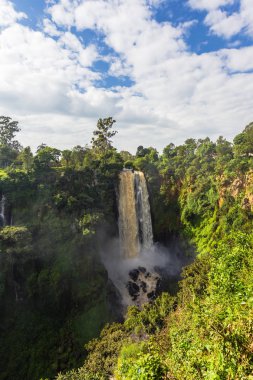 Yeşil bir şelale ile manzara. Thompson şelale. Kenya, Afrika