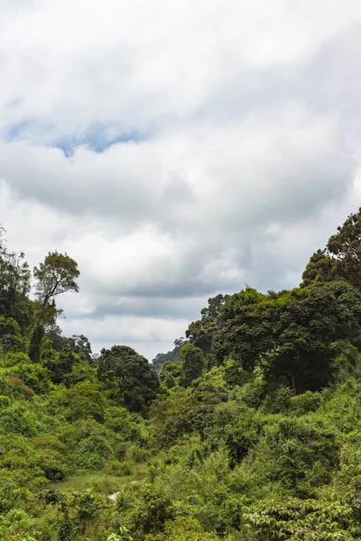 Mount Aberdar eteklerinde. Kenya, Afrika