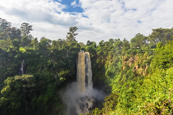 Vahşi orman tarafından çevrili bir şelale peyzaj. Thompson şelale. Kenya, Afrika
