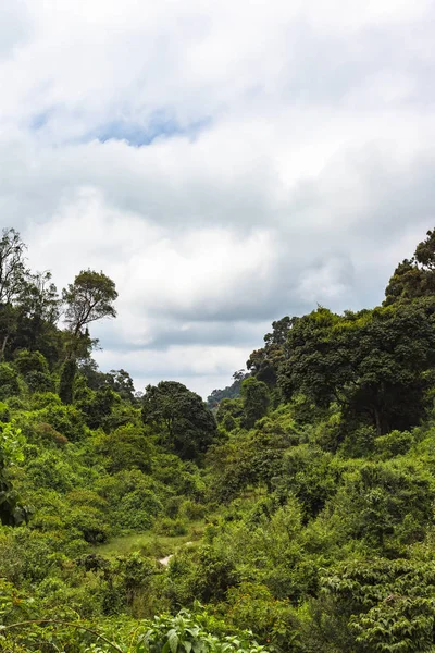 Rel Van Groen Mount Aberdar Kenia Afrika — Stockfoto