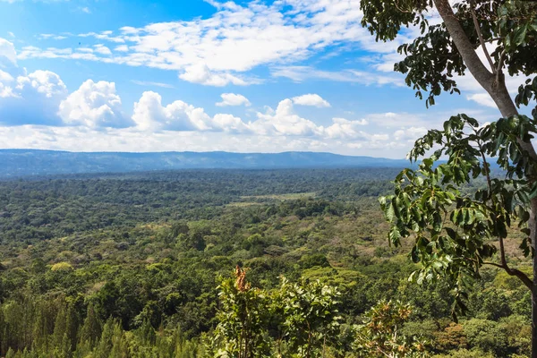 Grüne Landschaften Kakamega Wald Kenia Afrika — Stockfoto