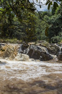 Hızlı nehirler, Kakamega Orman kalbinde. Kenya, Afrika