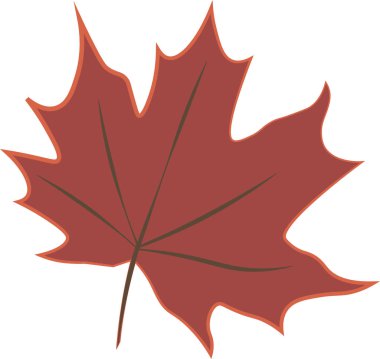 kırmızı akçaağaç yaprağı sonbahar