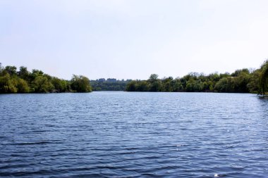 Bahar Dinyeper nehir yatağı. Nehir kıyısında yeşil bitki örtüsü