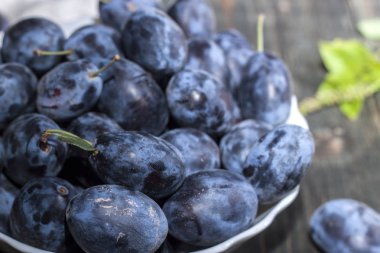 Erik karanlık bir masaya bir tabak içinde