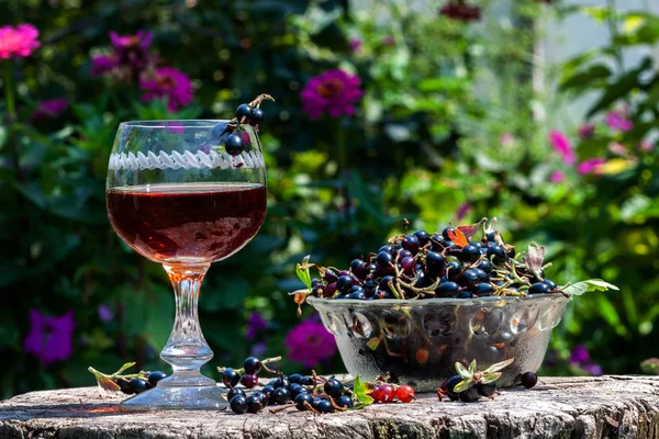 Вино из черной смородины с ягодами в стакане avza из старого деревянного стола — стоковое фото